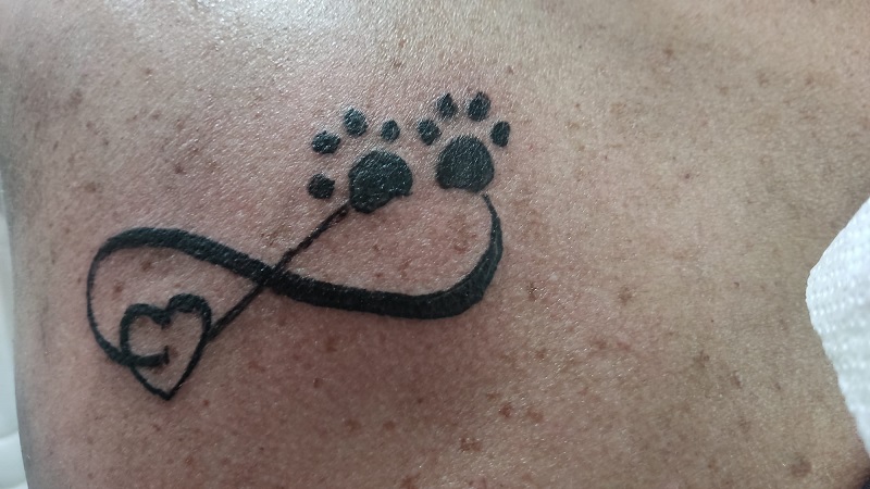 liefde voor viervoeter op knie