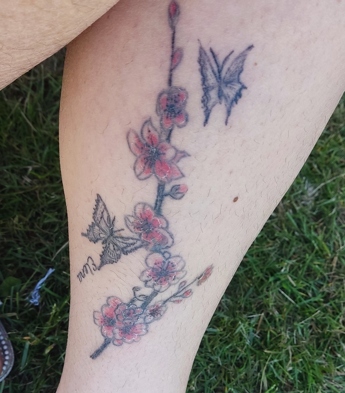 vlinders-bloemen